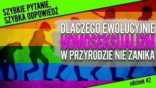 Dlaczego homoseksualizm ewolucyjnie nie zanika  SPSO 42 [upl. by Aldin893]