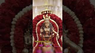 AiyyapaSwamy aiyappan tamilgodsongs trendingshorts korba cg [upl. by Manya]