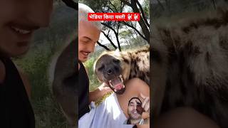 Hyena vs man 🐩🐩 hyena animals spottedhyena wildlife love reaction1991 [upl. by Jennifer593]