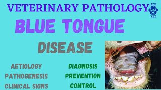 Blue Tongue Infection Etiology Pathogenesis Clinical Signs amp Diagnosis [upl. by Arytal]