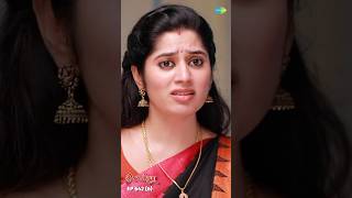 Ilakkiya Serial Shorts  Ep 642  6  Shambhavy Nandhan Sushma Nair  ytshorts shorts [upl. by Eterg]