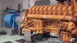 H36 Series Water Brake Engine Dyno [upl. by Latimore]