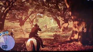 Rdr2 Dark Bay Turkoman Horse rdr2 fyp [upl. by Nashoma]