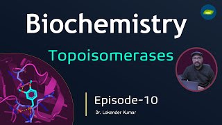 Biochemistry  Chapter Genes  Topoisomerase  Episode10  Basic Science Series [upl. by Reham]