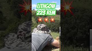 Lithgow LA102 223 ozziereviews shooting lithgow 223 243 308 firearms viralshorts rifle [upl. by Efthim803]