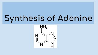 Synthesis of adenine [upl. by Nnaesor359]