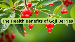 The Health Benefits of Goji Berries A Comprehensive Guide [upl. by Enaelem]