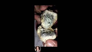 BALUT AN EGG EMBRYO COOK AND READY TO EAT balut balutchallenge viralvideo survival [upl. by Atnoved179]