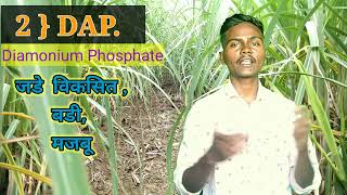 गन्ने का खाद और Fertilizer का पुरा डोस शेडूल चार्ट।Sugarecane Fertilizer DoseFarming technology [upl. by Given]