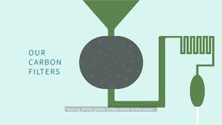 Green Coffee Extract FAQs How and Why the Swiss Water® Process Works [upl. by Danyette]