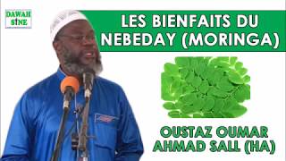 Les bienfaits du nebeday MORINGA  Oustaz Oumar Ahmad SALL [upl. by Ttevy]