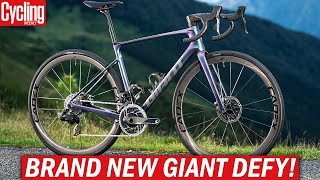 NEW 2024 Giant Defy  One Of The Last True Endurance Road Bikes [upl. by Prosperus196]