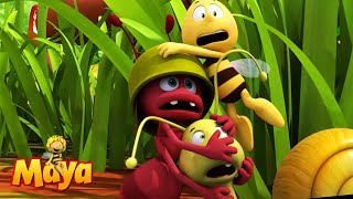 Mayas Friends Start To Panic  Maya the bee🍯🐝🍯 [upl. by Anayit]