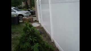 how to install six 6 foot white vinyl fence  privacy fence ideas  vinyl fence installation [upl. by Strohben638]