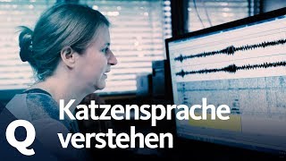 Katzensprache Diese Frau kann quotkätzischquot übersetzen  Quarks [upl. by Zzahc]