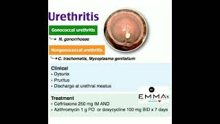 💠 Urethritis 💠 [upl. by Sosna415]