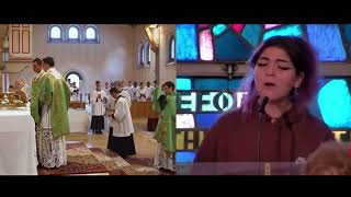 traditional latin mass vs novus ordo [upl. by Htbazile]