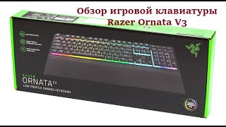 Обзор Razer Ornata V3 [upl. by Grishilde]