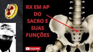 Rx do Sacro e suas funções [upl. by Ahsaet526]