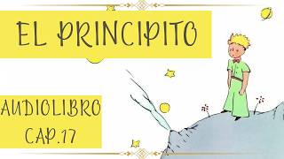 EL PRINCIPITO Cap 17 AUDIOLIBRO [upl. by Miru]