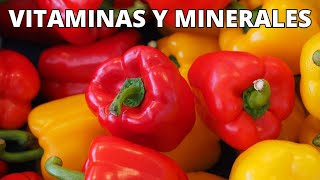 ¿Cuáles son las VITAMINAS y MINERALES del Pimiento Morrón Beneficios y tipos de PIMIENTO MORRÓN [upl. by Hammerskjold900]