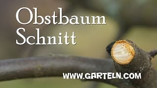 Obstbaumschnitt von Jänner bis März [upl. by Sternick]