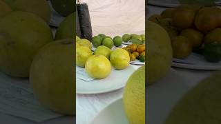 Citrus fruits varieties…orangelemoncitrusfruitsvarietyagriculturefarmingahortsvideofeed [upl. by Madra492]