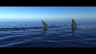 3d Max Great White Surface Swim Animation with dreamscape Ocean [upl. by Byron]