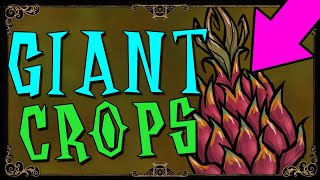 HOW TO GROW GIANT CROPS  Dont Starve Together Guide [upl. by Eissirk254]