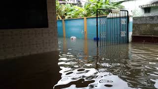 Palakkad Flood ¦ water in Home ¦ Kanjikode ¦ Kerala Rain [upl. by Luis]