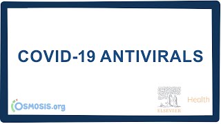 COVID19 antivirals [upl. by Diad]