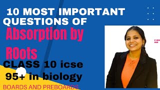 Absorption by Roots  10 Most important questions  class 10 icse biology study boards good [upl. by Bergerac199]