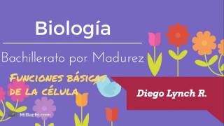 Biología  Bachillerato por Madurez  Lección 3 [upl. by Gasparo565]