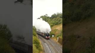 Mighty Merchant rockets into Kemble tunnel 35028 ‘Clan Line’ train mainlinesteam steamtrain [upl. by Xela]