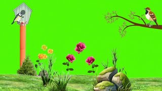 flower Animation video [upl. by Beret]