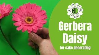 Flower Pro Gerbera Daisy For Cake Decorating [upl. by Erbe]