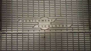 Burlington MA Montgomery Escalators  Lord amp Taylor Burlington Mall AKA quotOrange Pavilionquot [upl. by Irv]