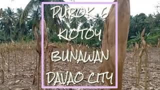 Place to invest in Davao City invest in Kiotoy Bunawan with overlooking view at cheap price [upl. by Py]