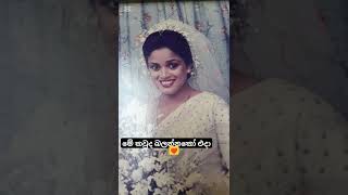 හරිම වෙනස් නේද චරිතා එදා shortviralvideo [upl. by Tuckie454]