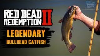 Red Dead Redemption 2 Legendary Bullhead Catfish [upl. by Bocoj319]