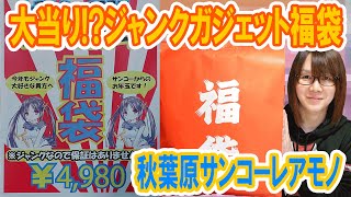 【福袋】大当り秋葉原サンコージャンク福袋開封で謎ガジェット勢揃い [upl. by Moya]