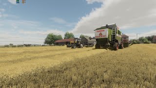 Nowy kombajn i paszowóz  quotSąsiedzi zza miedzyquot 10 Farming Simulator 22 [upl. by Cibis]