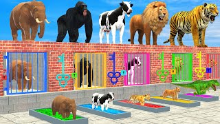 Cow Elephant Lion Gorilla Tiger TRex Choose The Right Baby ESCAPE ROOM CHALLENGE Animals Cage Game [upl. by Anirhtak]