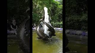 2017 Butchart Gardens Sturgeon and Dragon Fountains slomo [upl. by Aelahc]