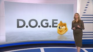 What is DOGE and how much power will it have [upl. by Ocsic]