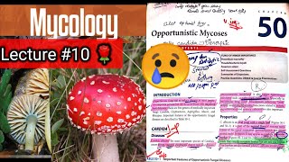 Opportunistic Mycoses 🛑 Chap 50 part 1k candida cryptococcus aspergillus mucor rhizopus [upl. by Almeida]