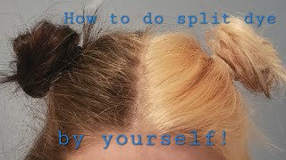 How to dye your own half and half hair Tutorial [upl. by Madancy]