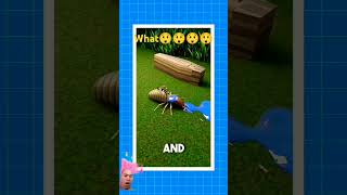 ants termites insects highlights [upl. by Alodi]