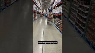 guy falling over cart meme [upl. by Abdul]