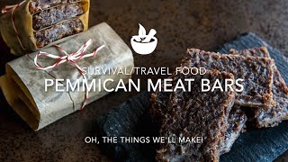 Pemmican Survival Bars Meat Bars Recipe [upl. by Enilkcaj]